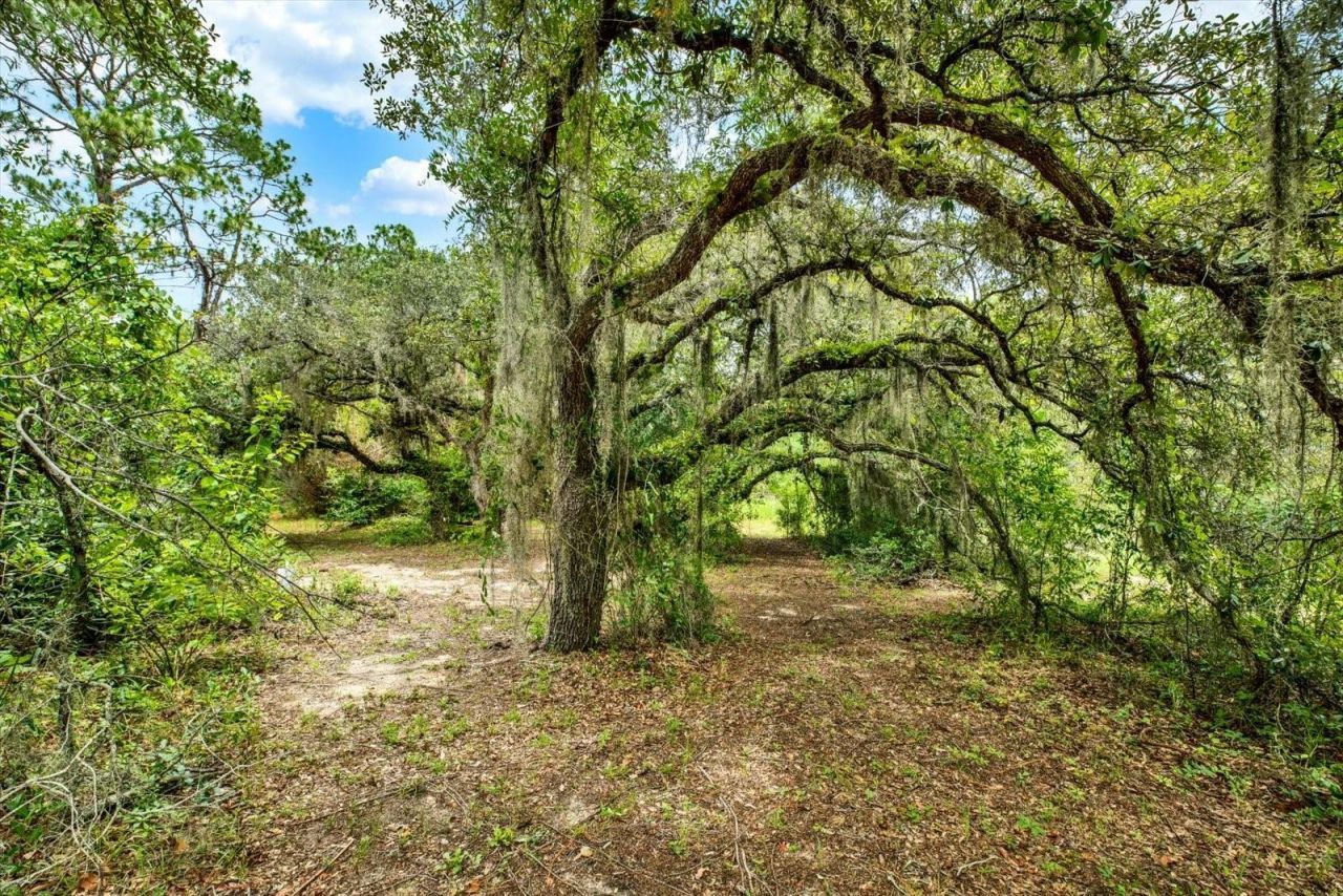 11251 Salina Street, Brooksville, FL 34614 Photo