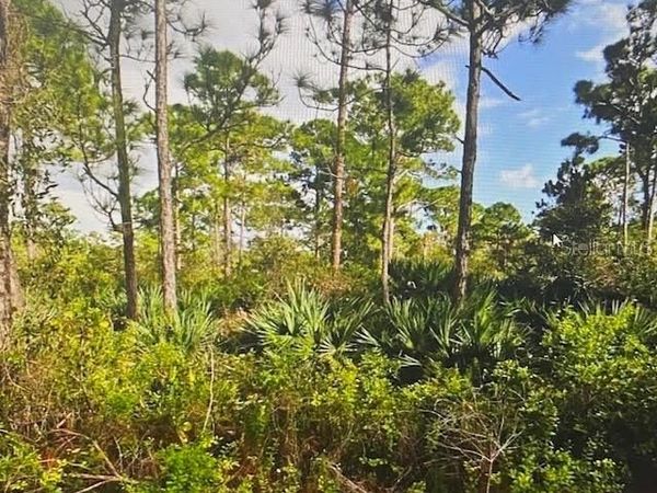 5550 TREE TOP TRAIL , FORT PIERCE, FL 34951
