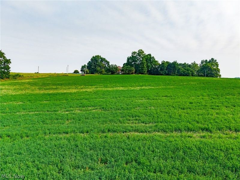 Stoneford St SW , Navarre, OH 44662 Photo 13