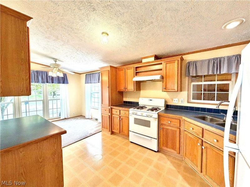 1268 S Lincoln Avenue, Salem, OH 44460 Photo 10