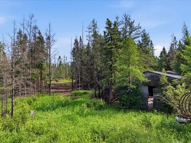 11352 Highway 2 , Swan River, MN 55736