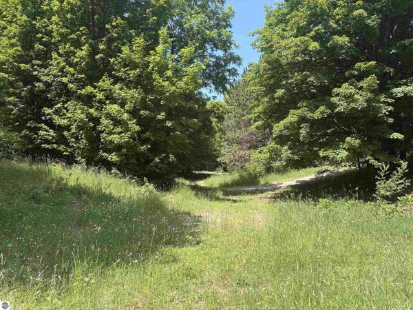 3475 Grace Road, Frankfort, MI 49635