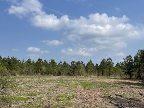 Tract 14 Lorin Wall Rd, Holden, LA 70774