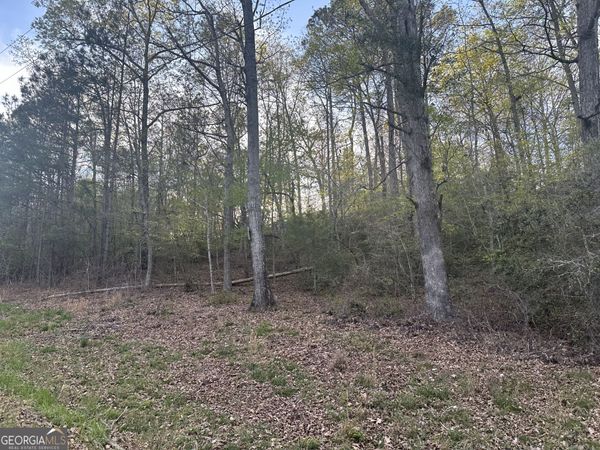 1141 Skipstone Drive, Watkinsville, GA 30677