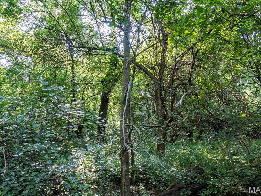 Property Image 81