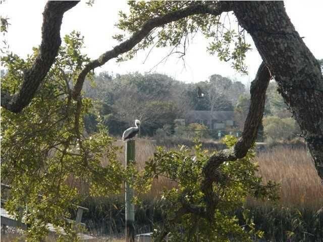 1261 Caperton Way Photo 7