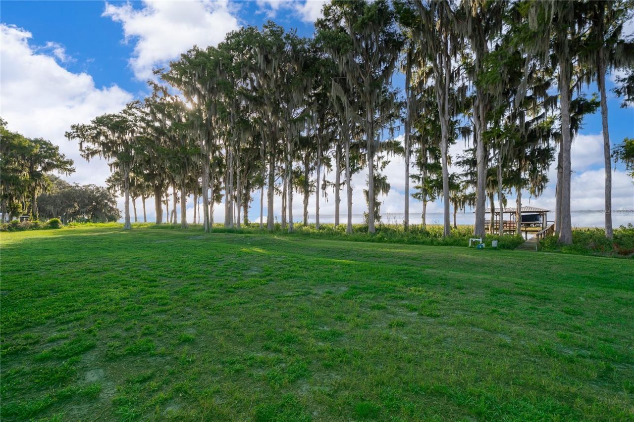 12131 Eagles Point Court, Grand Island, FL 32735 Photo
