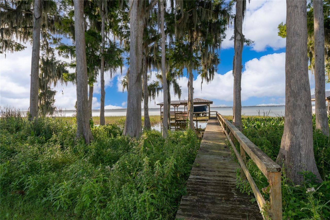 12131 Eagles Point Court, Grand Island, FL 32735 Photo