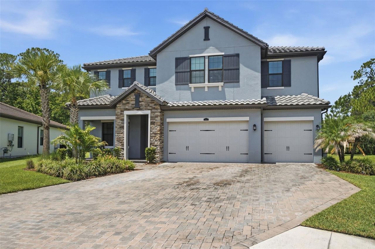 4441 Albero Place, Wesley Chapel, FL 33543 Photo