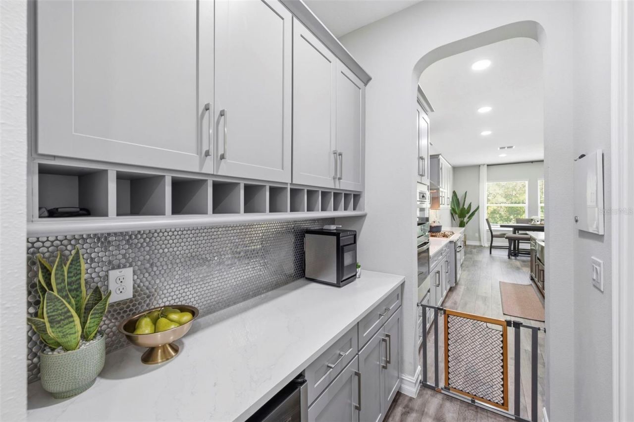 4441 Albero Place, Wesley Chapel, FL 33543 Photo