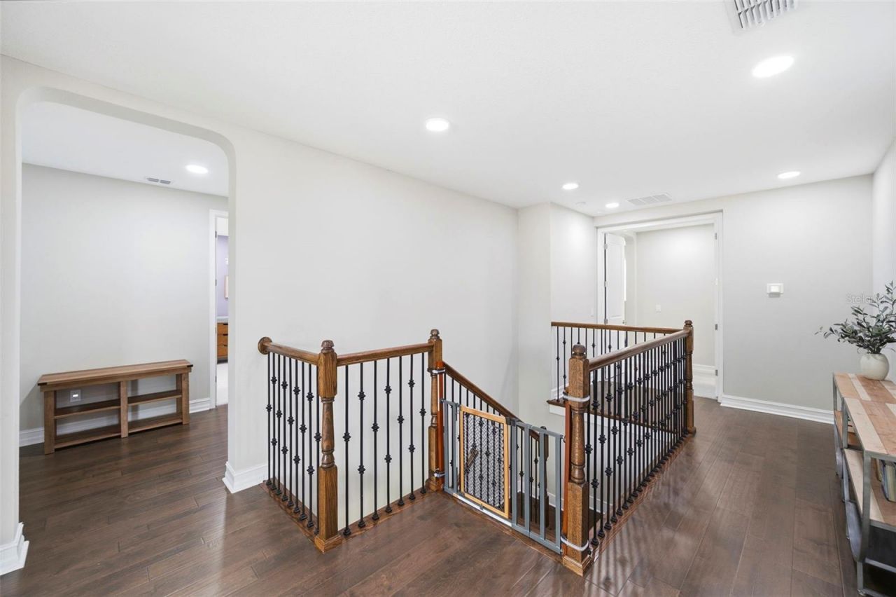 4441 Albero Place, Wesley Chapel, FL 33543 Photo