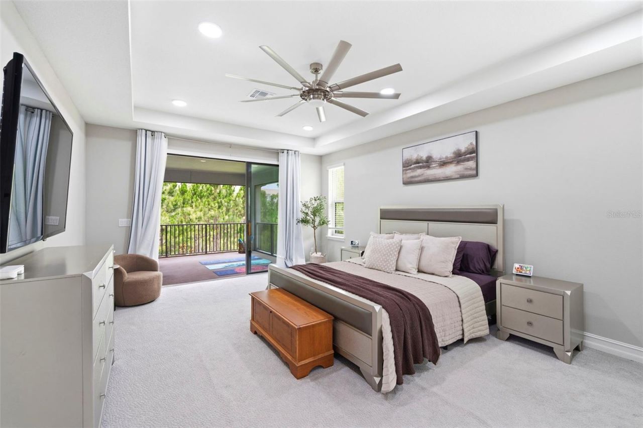 4441 Albero Place, Wesley Chapel, FL 33543 Photo