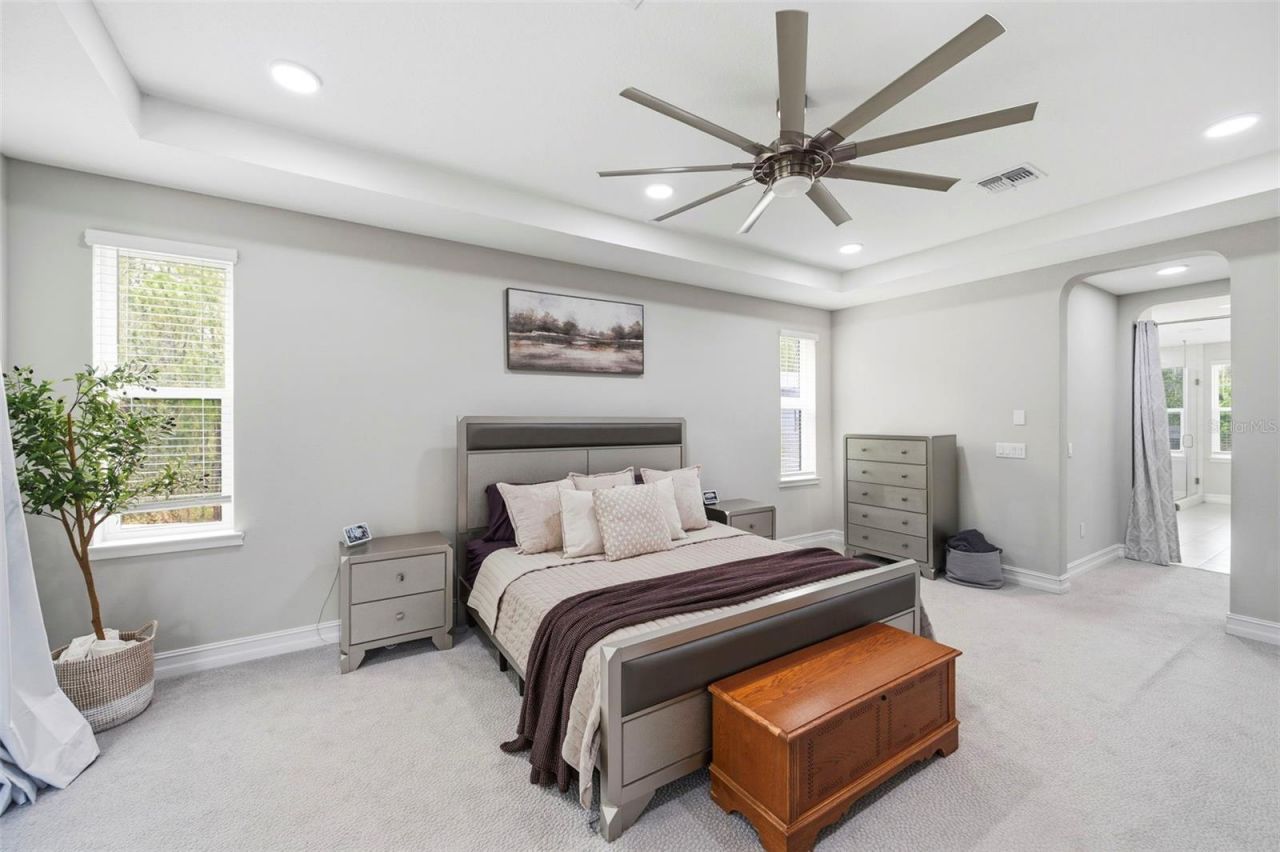 4441 Albero Place, Wesley Chapel, FL 33543 Photo