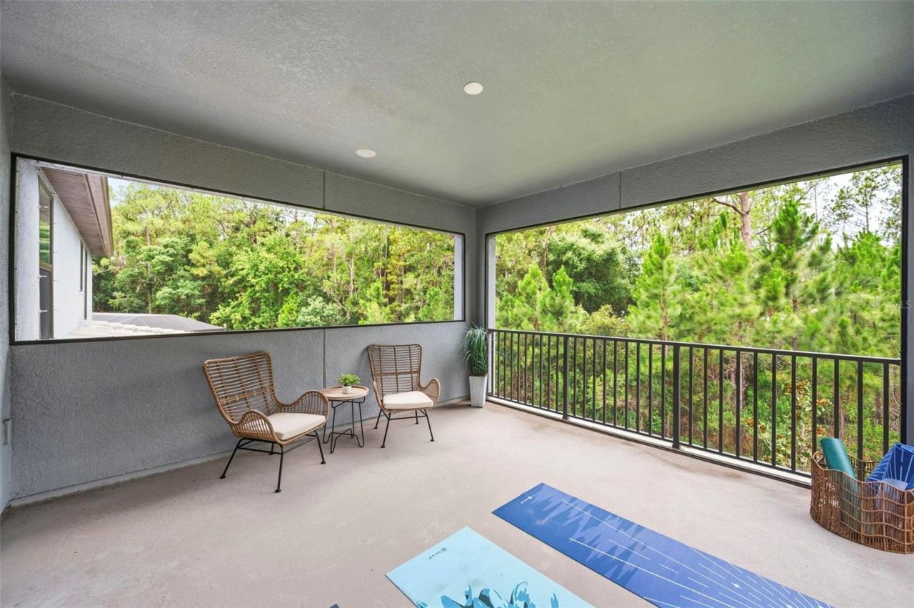 4441 Albero Place, Wesley Chapel, FL 33543 Photo