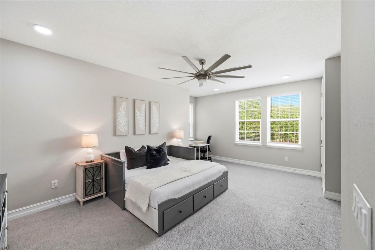 4441 Albero Place, Wesley Chapel, FL 33543 Photo