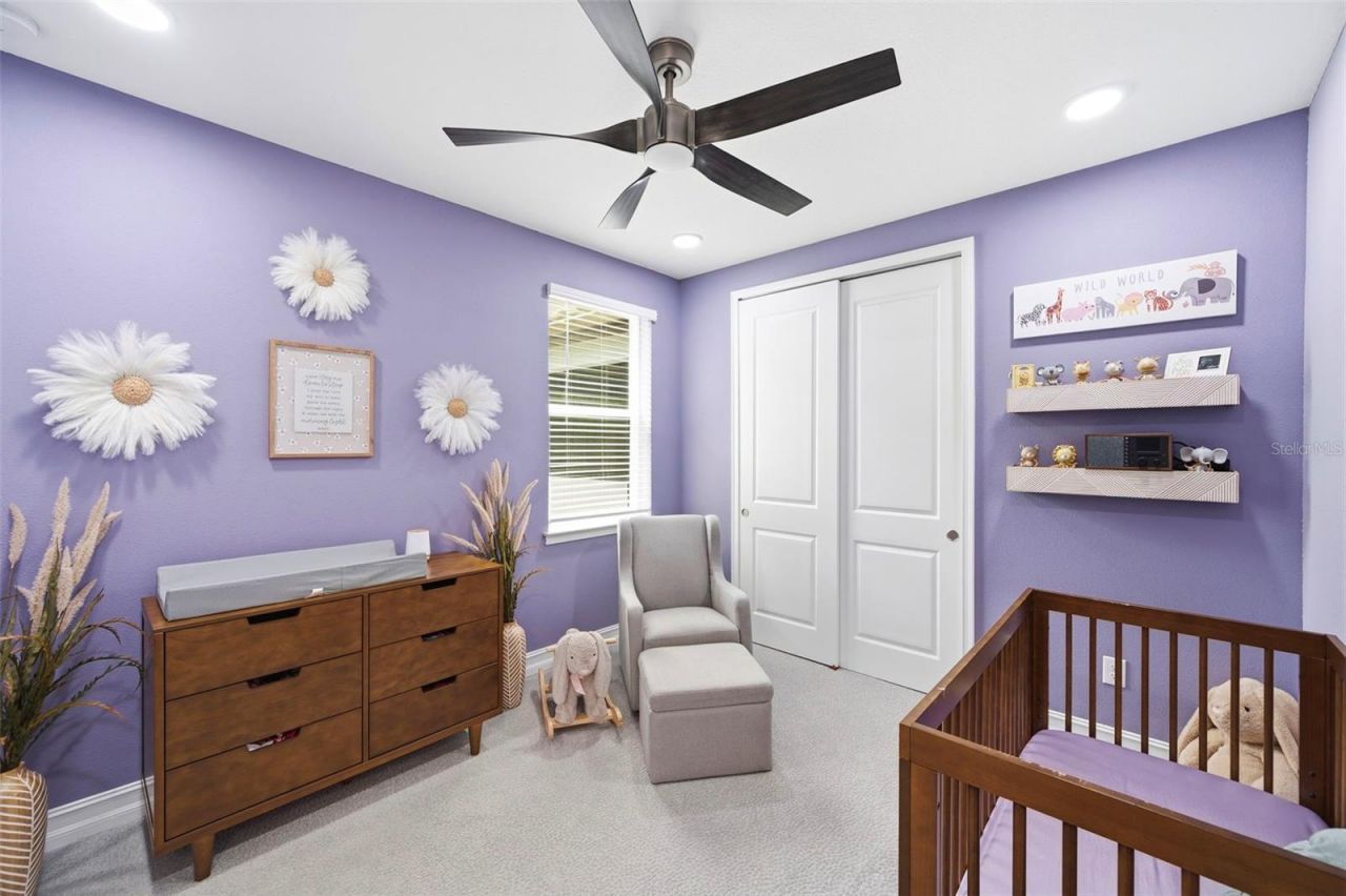 4441 Albero Place, Wesley Chapel, FL 33543 Photo