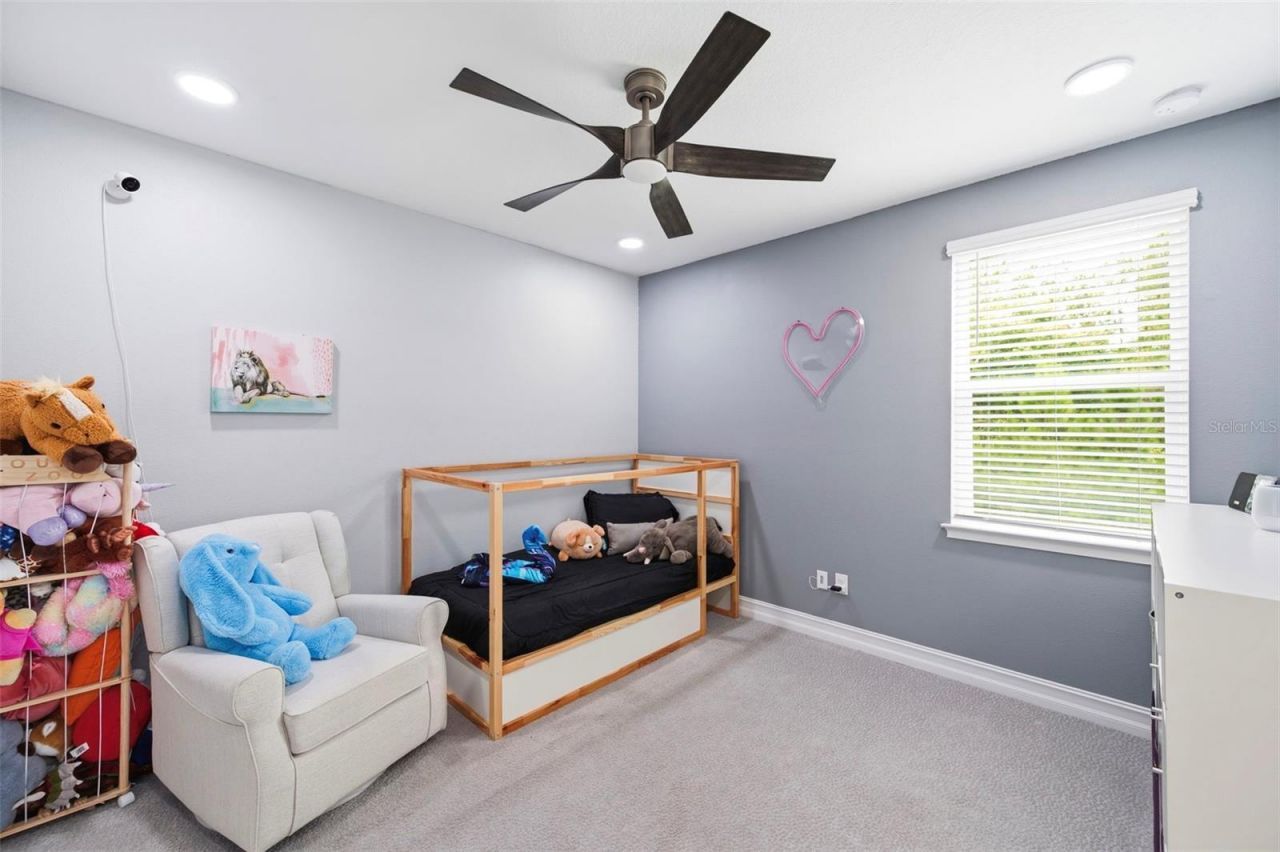 4441 Albero Place, Wesley Chapel, FL 33543 Photo