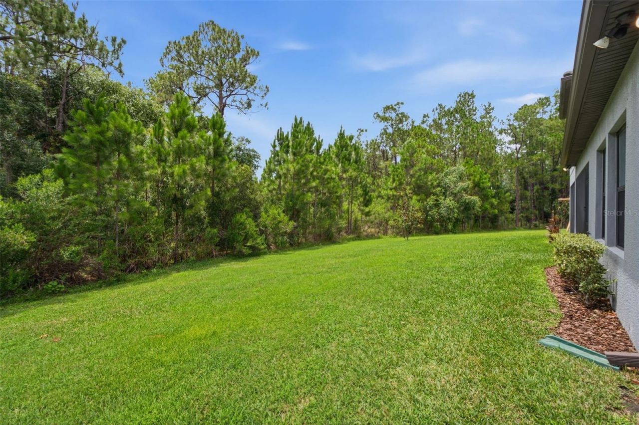4441 Albero Place, Wesley Chapel, FL 33543 Photo