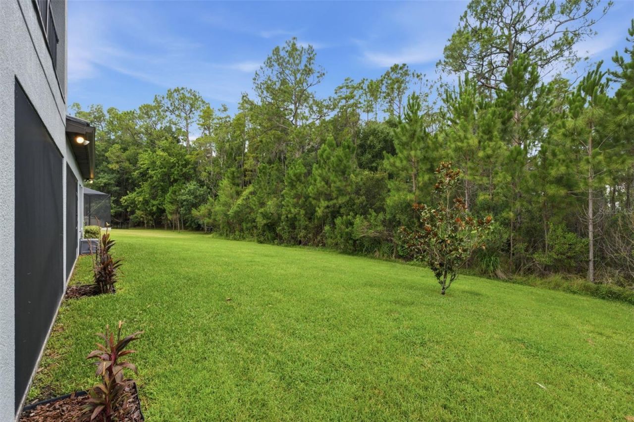 4441 Albero Place, Wesley Chapel, FL 33543 Photo