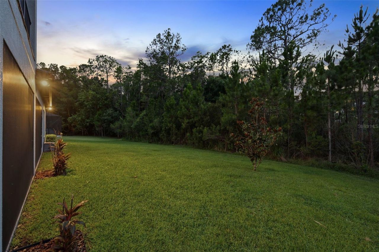 4441 Albero Place, Wesley Chapel, FL 33543 Photo