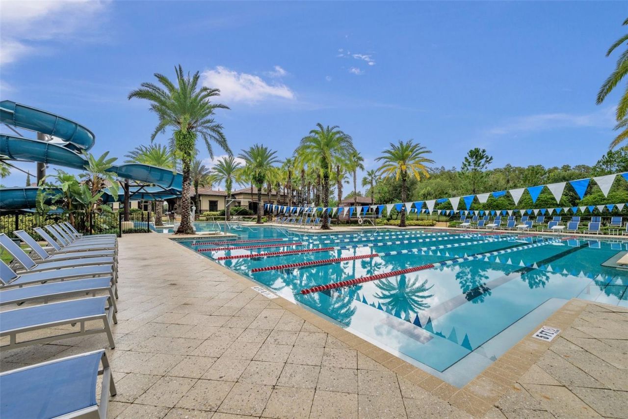 4441 Albero Place, Wesley Chapel, FL 33543 Photo