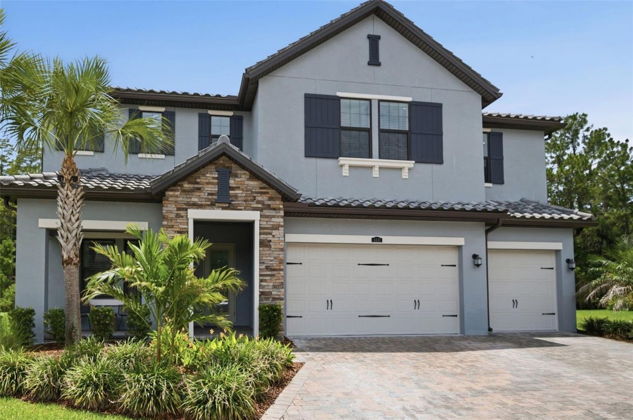 4441 Albero Place, Wesley Chapel, FL 33543 Photo