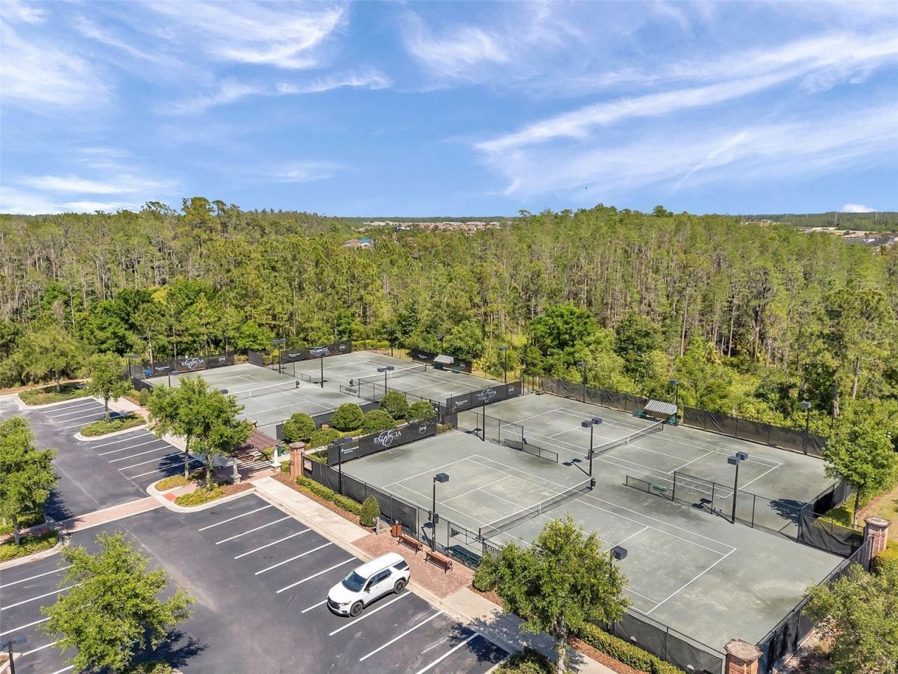 4441 Albero Place, Wesley Chapel, FL 33543 Photo