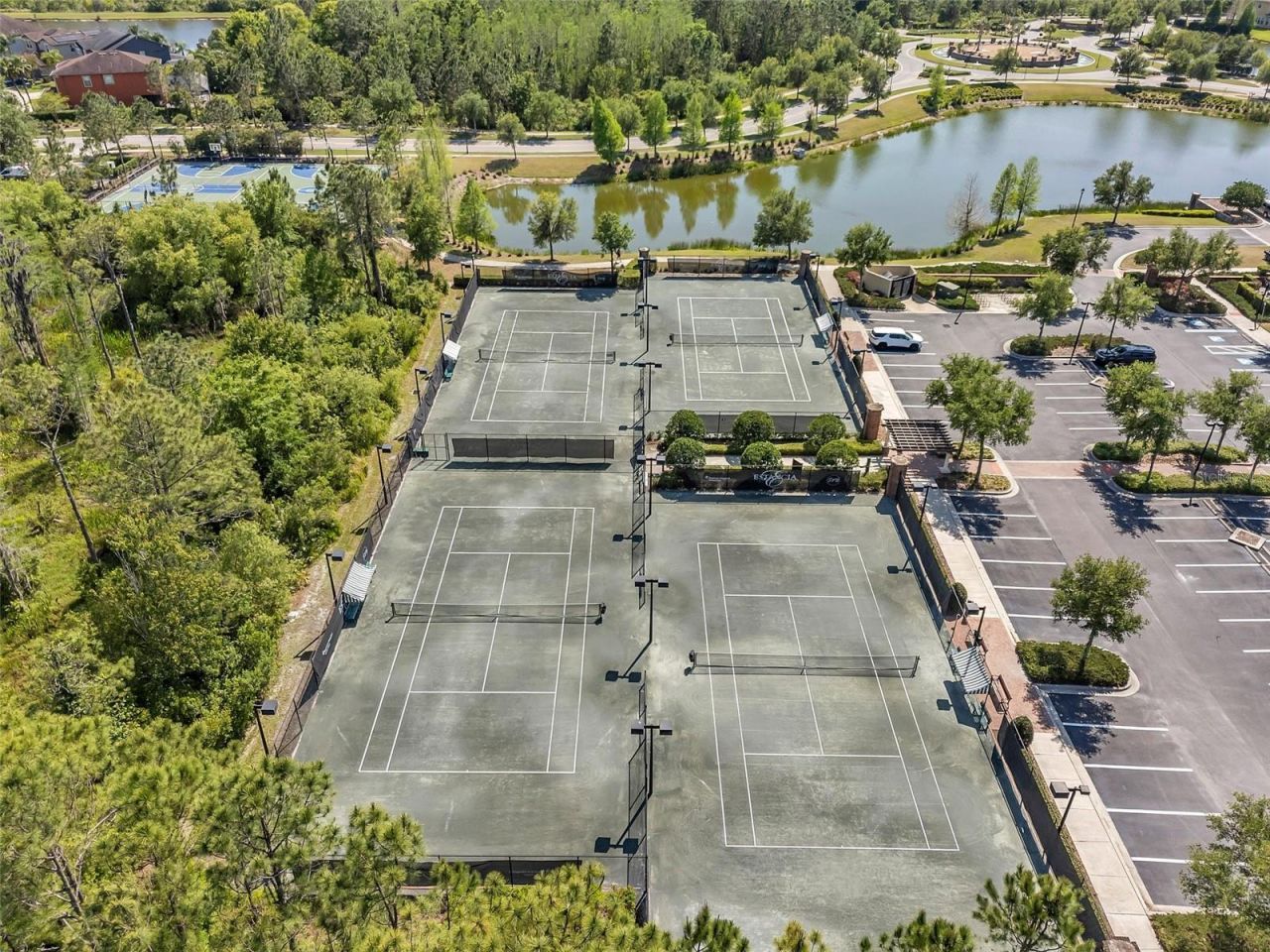 4441 Albero Place, Wesley Chapel, FL 33543 Photo