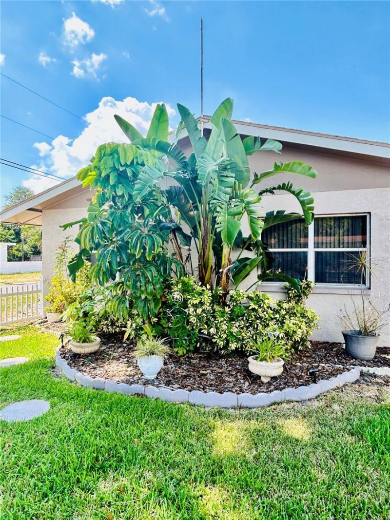 6190 6th Street S, Saint Petersburg, FL 33705 Photo