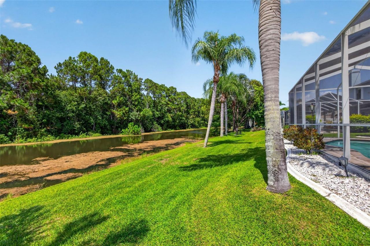 11123 Clayridge Drive, Tampa, FL 33635 Photo