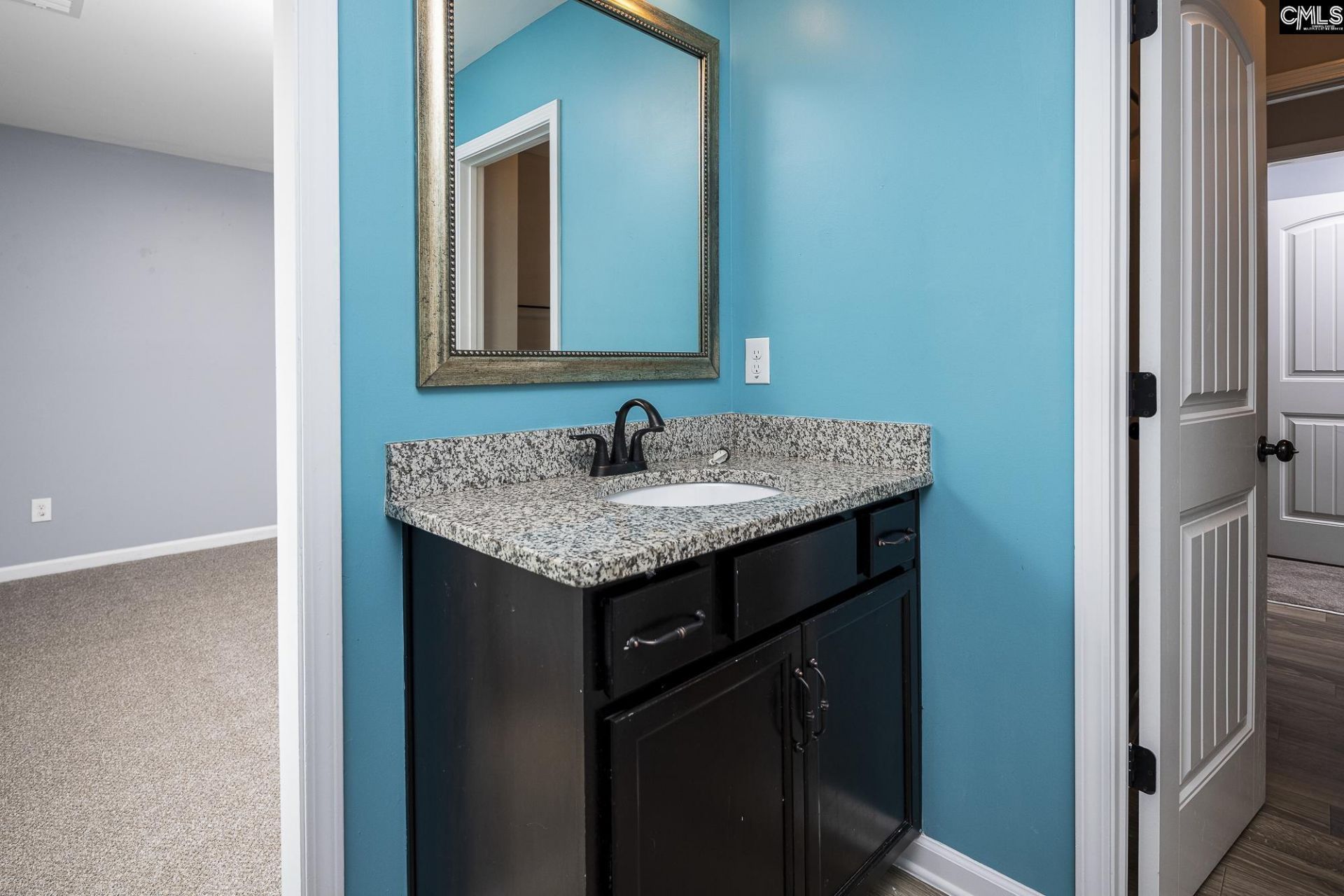 225 Tannery Drive Photo 31