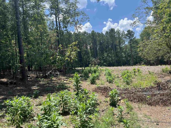 9 Casey lane , Glenwood, AR 71943