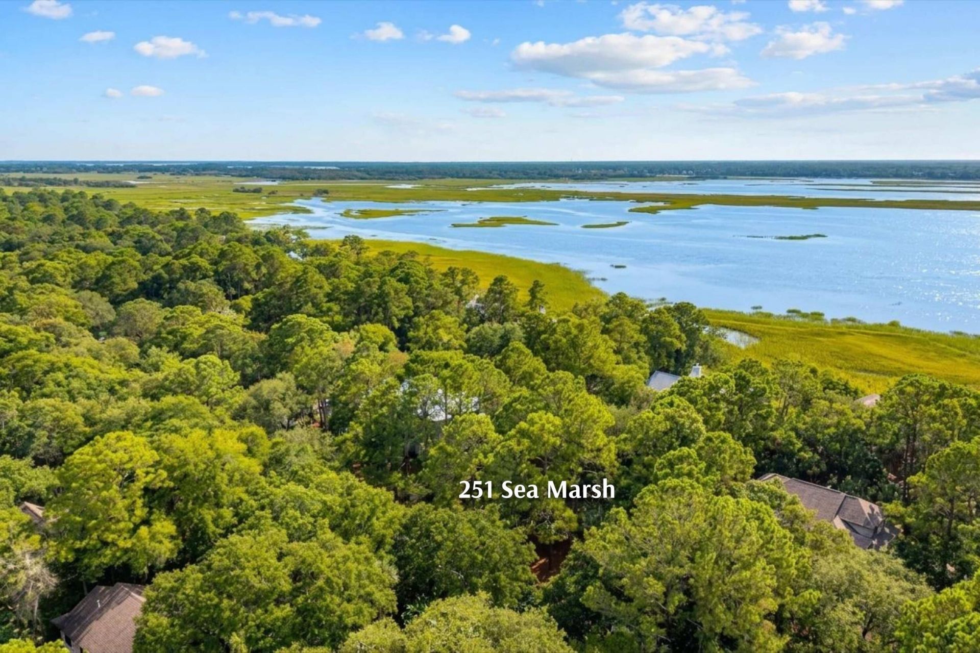 251 Sea Marsh Drive Photo 41
