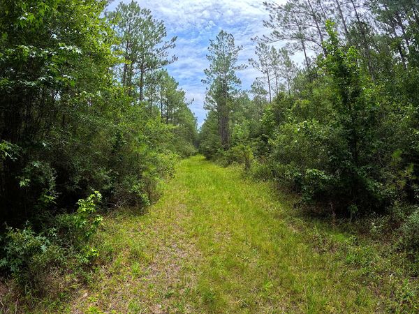 N Sones Chapel Road, Carriere, MS 39426