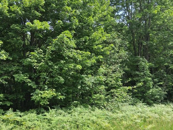 Lot 569 Crestwood Drive, Mancelona, MI 49659