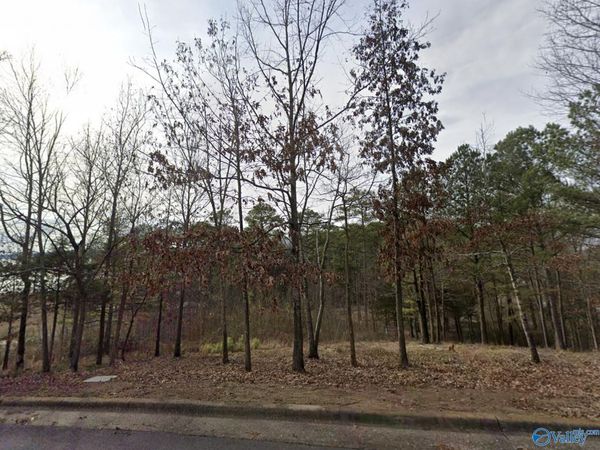 35 Harbor Point Drive, Guntersville, AL 35976