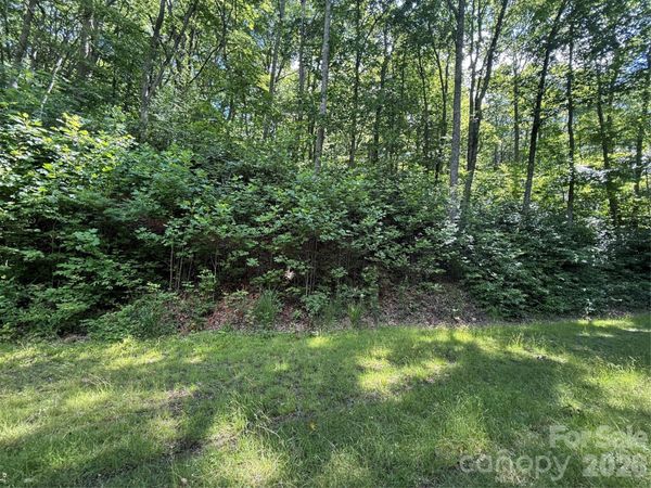 999 Hawks Nest Drive , Burnsville, NC 28714