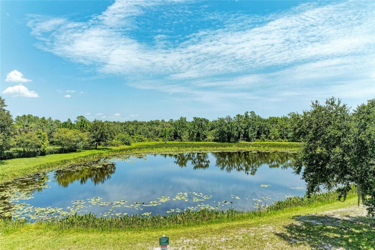 22809 Night Heron Way , Bradenton, FL 34202 Photo