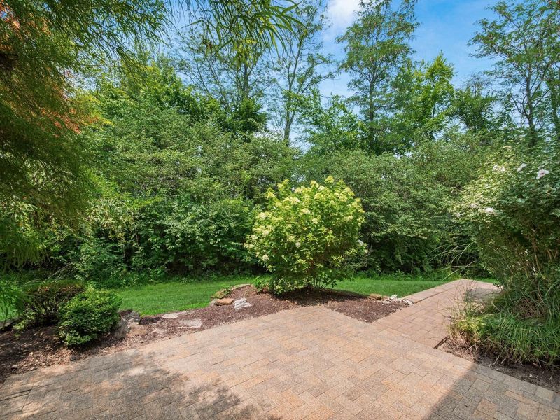 7338 Deer Valley Crossing, Powell, OH 43065 Photo 40