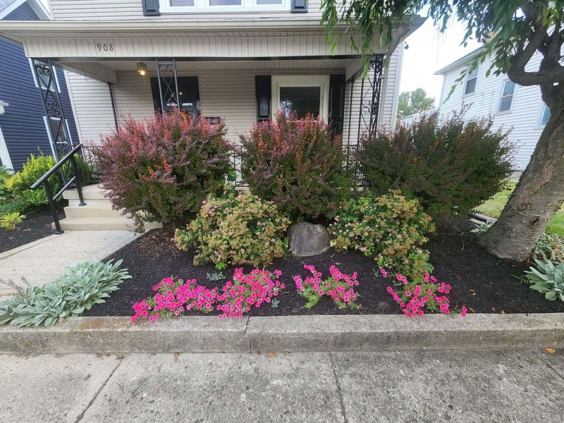 908 Park Avenue, Piqua, OH 45356 Photo 3