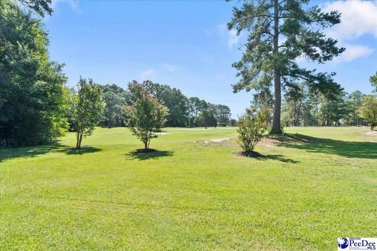 812 Fairway Drive Photo 71