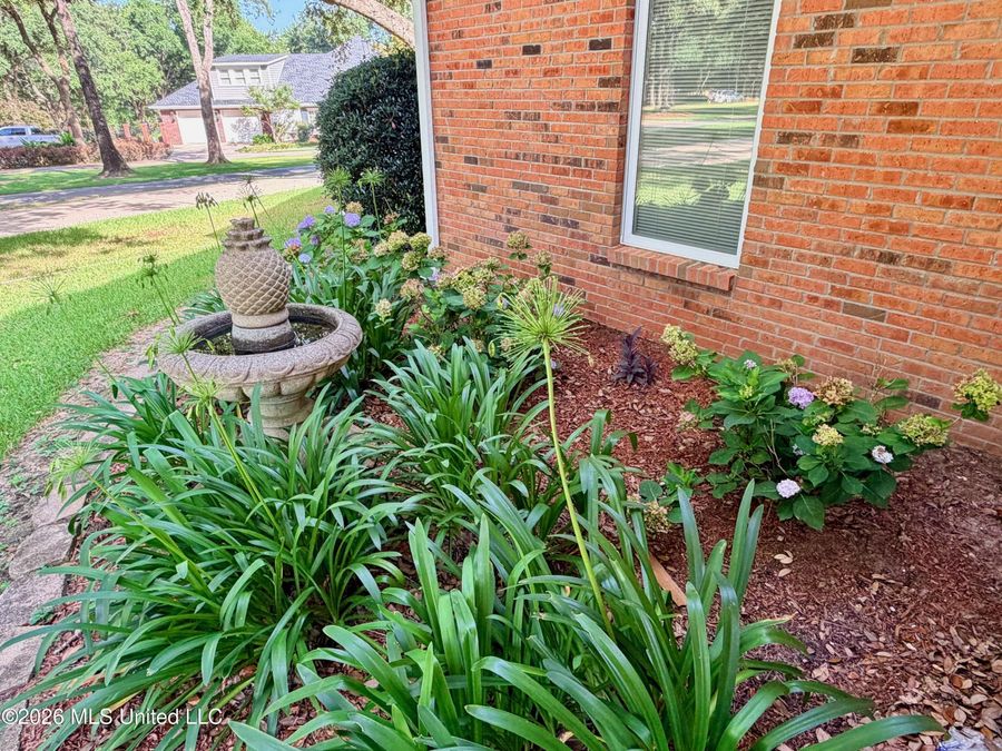 Property Image 74