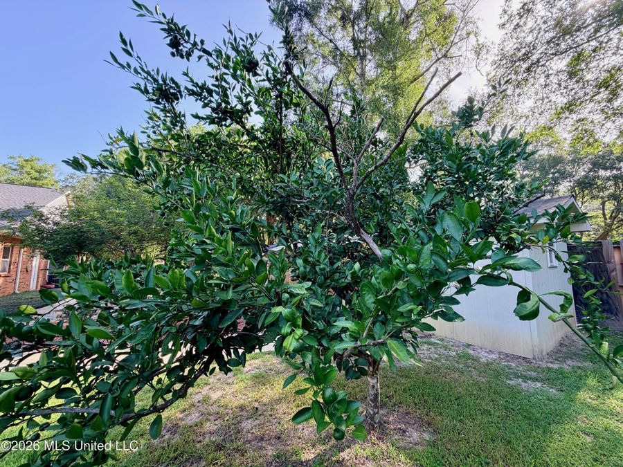 Property Image 78