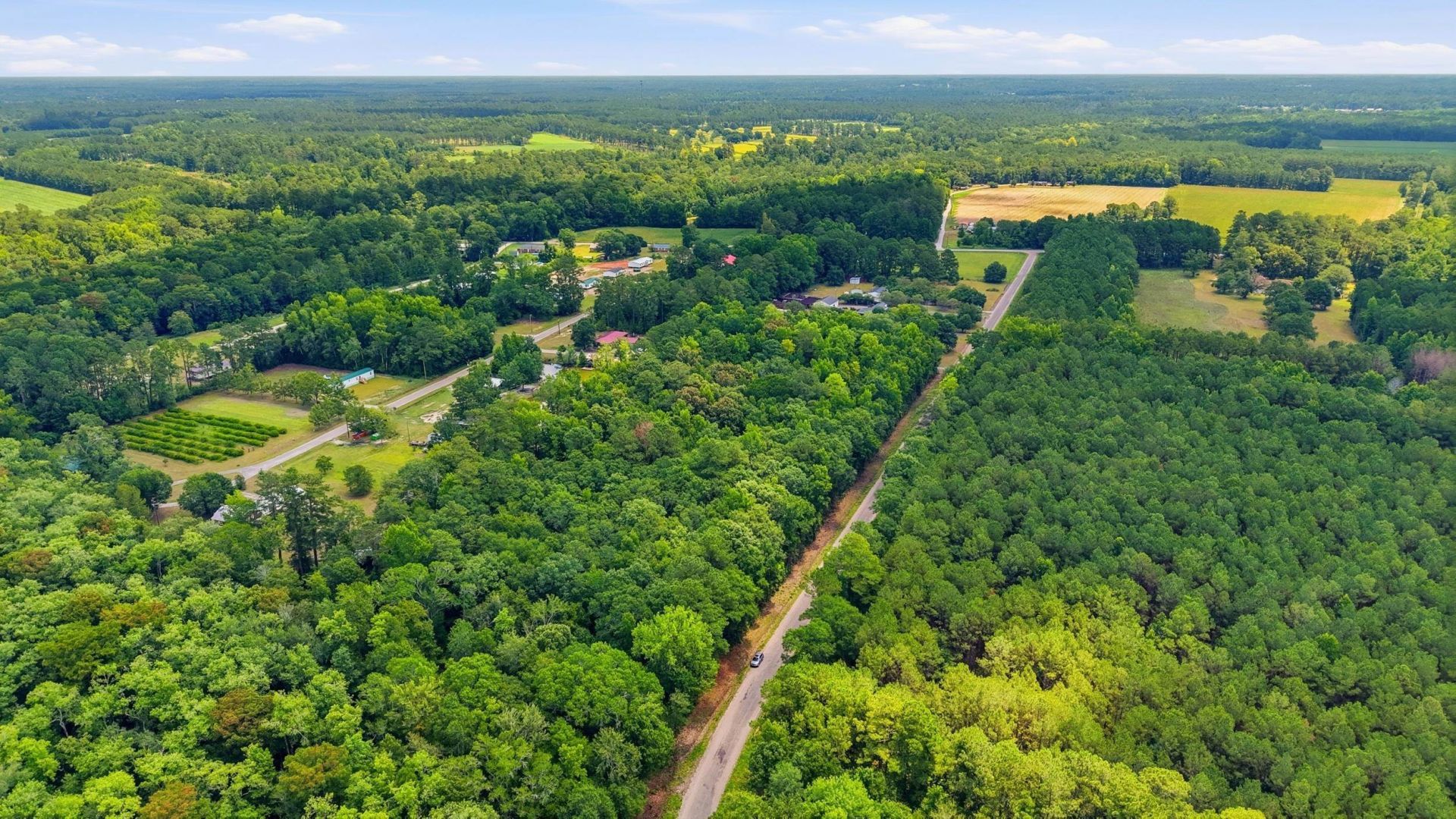 601 Huggins Landing Rd.  Photo 5