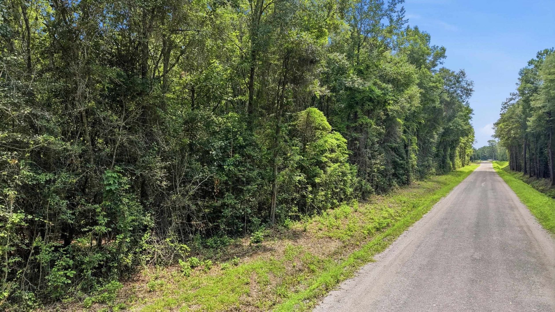 601 Huggins Landing Rd.  Photo 8