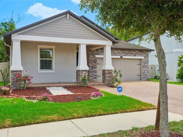 6233 ENGLISH HOLLOW ROAD , TAMPA, FL 33647