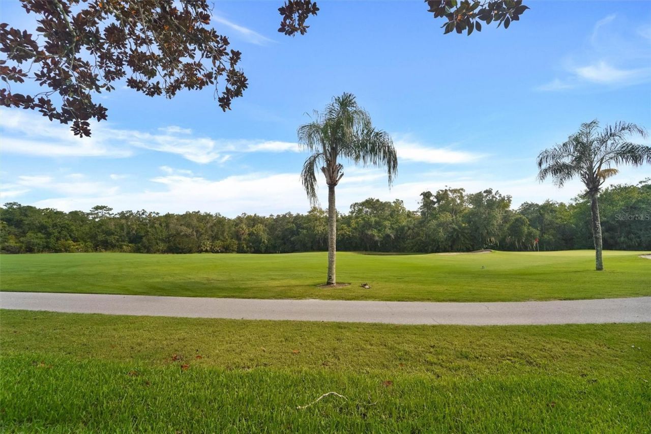 6541 Country Ridge Lane , New Port Richey, FL 34655 Photo