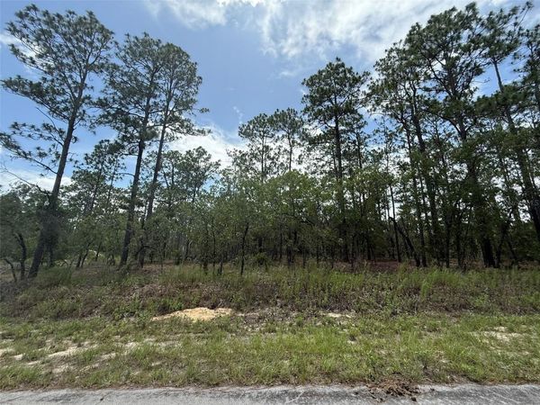 TBD TREE TOP ROAD , DUNNELLON, FL 34431
