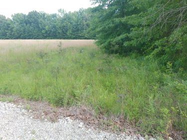 4400 Shemwell Lane, Paducah, KY 42003