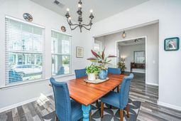 504 Ladybug Lane photo 4